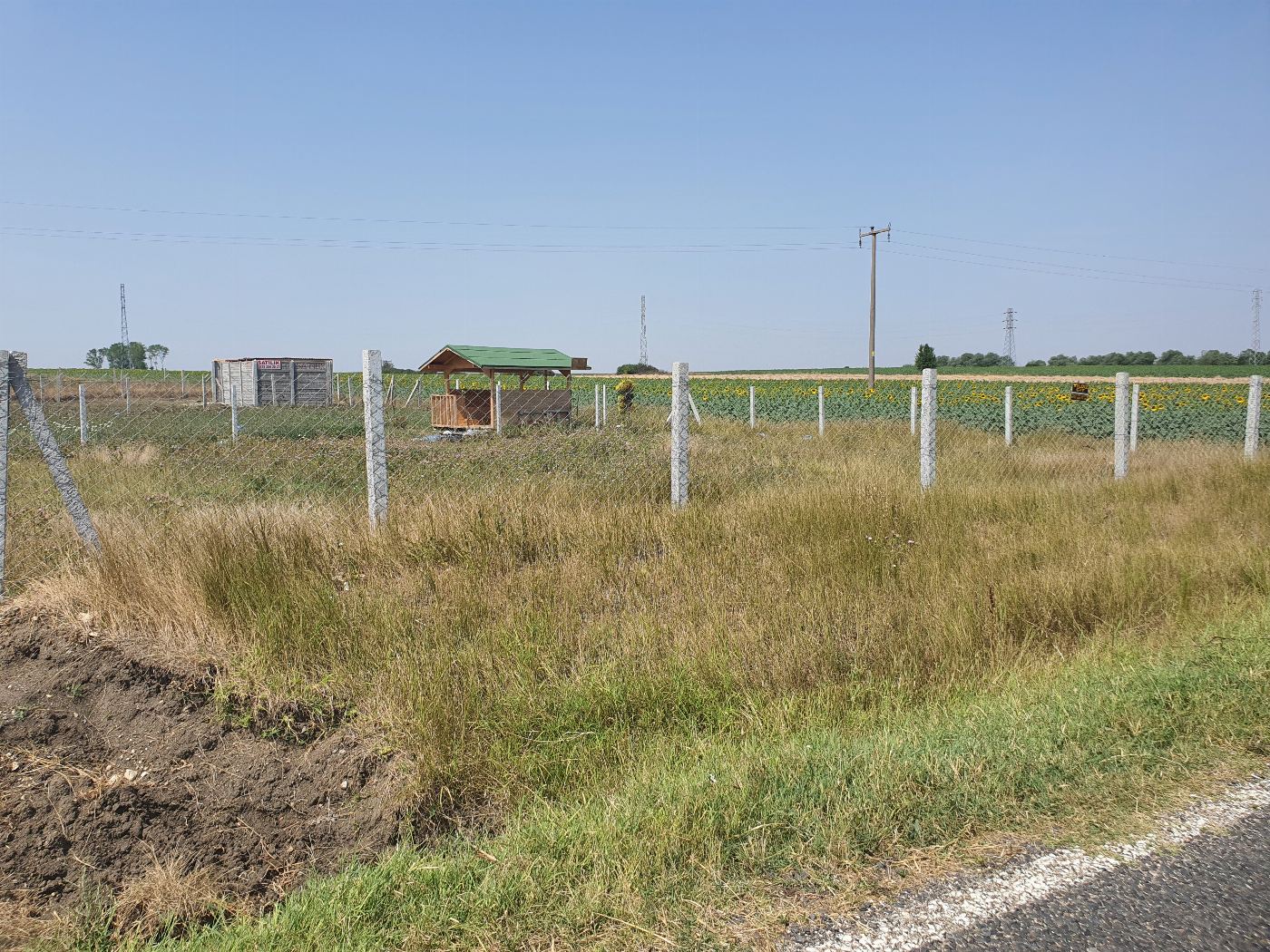 TEKİRDAĞ SARAY EDİRKÖYDE HİSSELİ TARLA 0